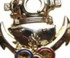 Военные знаки Франции, Испании и Португалии - 3