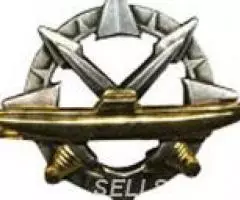 Военные знаки Франции, Испании и Португалии - 4