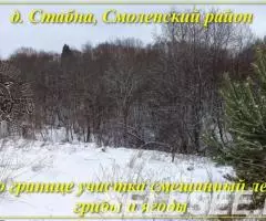 Продаю  дом , 100 кв.м , деревянный - 4