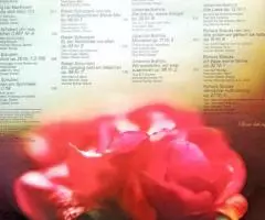 Бетховен Шуберт Брамс Штраус Dein Ist Mein Herz LP - 2