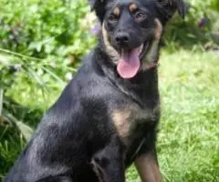 Волшебная, веселая, ласковая девочка Веша ищет семью - 2