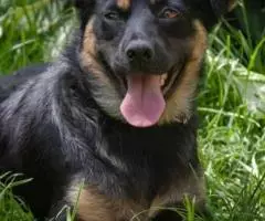 Волшебная, веселая, ласковая девочка Веша ищет семью - 4