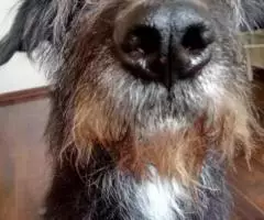 В предверии Нового года и в надежде на чудо, делаю посыл во ... - 2