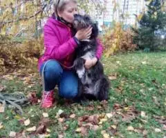 В предверии Нового года и в надежде на чудо, делаю посыл во ... - 3