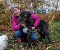 В предверии Нового года и в надежде на чудо, делаю посыл во ... - 4