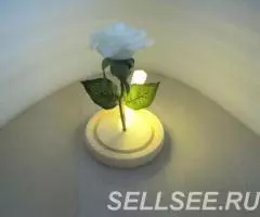 Роза с подсветкой в колбе - 3