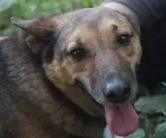 Масяня ищет свой дом - 3