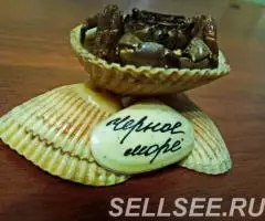 Сувенир из ракушек и крабика Черное Море . - 3