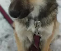 ТосяТосенька Трепетная , нежная девочка ждёт своих родителей - 2