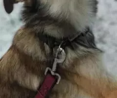 ТосяТосенька Трепетная , нежная девочка ждёт своих родителей - 3