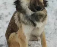 ТосяТосенька Трепетная , нежная девочка ждёт своих родителей - 4