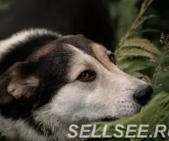 Дарвин выжил, что бы жить - 2