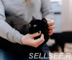 Белла нежная малышка в дар. - 2