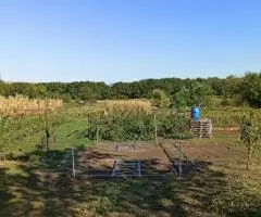 Теплица дачная комфорт - 3