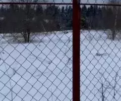 Продается участок 85 сот. в д. Леоново Истринского р-на МО - 3