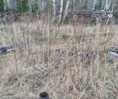 Продам земельный участок, с х назначения, д. Красный пахарь. - 2