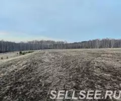 Продам земельный участок, с х назначения, д. Красный пахарь. - 3