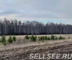 Продам земельный участок, с х назначения, д. Красный пахарь. - 4