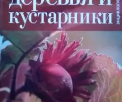 Криги по ландшафтному дизайну - 3