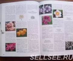 Энциклопедия садовых растений - 2