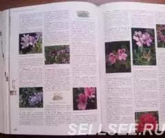 Энциклопедия садовых растений - 3