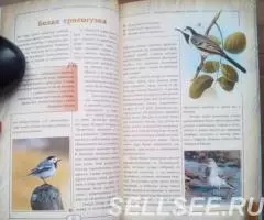 Атлас определитель птиц - 2