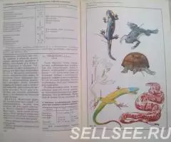 Книги Аквариум, террариум - 2