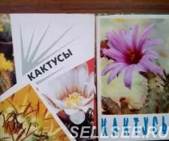 Открытки-кактусы, рыбки - 3