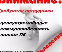 Специалист по рекламе в интернете