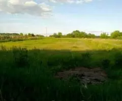 Продается участок, 92 сотки, в Рамонском районе, с. Нелжа, ... - 3