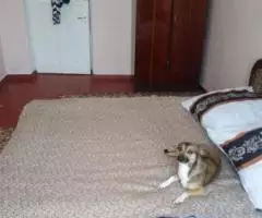 Продается комната на Северной стороне по улице Серафимовича0 - 2