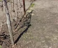 Продам земельный участок - 4