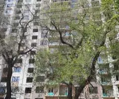 Продаю 1-комн квартиру, 43 кв м - 2