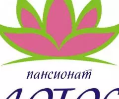 Пансионат ЛОТОС Благоустроенные номера 2, 3, 4х местные - 4