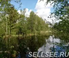 Сдам дом не берегу реки недалеко от п. Беличье . .. - 3