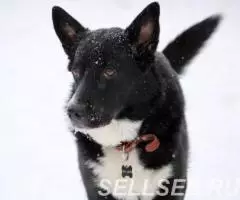 Уютная, домашняя Соня ждёт свою семью - 2