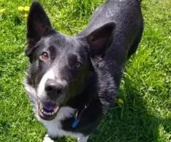 Уютная, домашняя Соня ждёт свою семью - 3