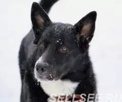 Уютная, домашняя Соня ждёт свою семью - 4