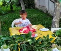 Гостевой дом У Регины. От берега 15 минут - 3