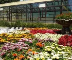 Спортивно - оздоровительный комплекс Барчын - 3