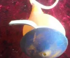 Пробка-кран сувенирная - Матрос СССР - 4