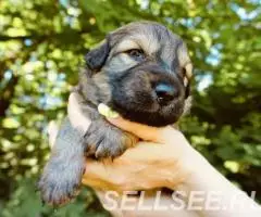 Мальчик и девочка ищут дом - 3