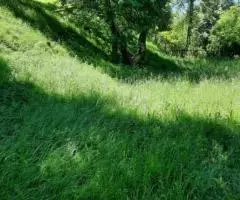 Продается участок 20 соток, в живописном месте, в с. ... - 3