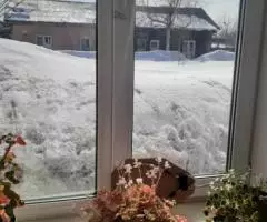 Продаю  дом , 45 кв.м , деревянный - 2