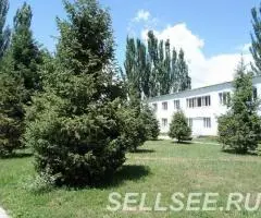 Сдаются номера в пансионате Дельфин плюс - 2