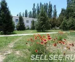 Сдаются номера в пансионате Дельфин плюс - 3