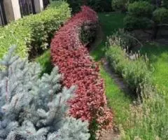 Ландшафтный дизайн под ключ - 2