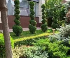 Ландшафтный дизайн под ключ - 3