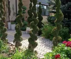 Ландшафтный дизайн под ключ - 4