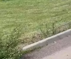 Продажа земельного участка в Батайском р-ре Ростовской обл. - 3